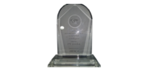 Business Partner Of the year (2016) Medica